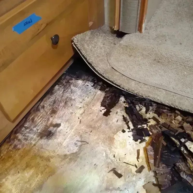 Wood Floor Water Damage in Odell, OR